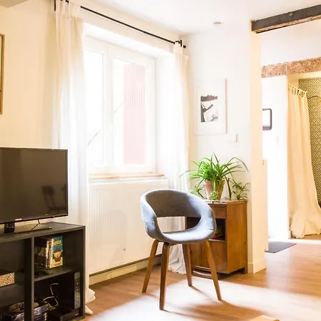 Teinturiers By Cocoonr Appartement